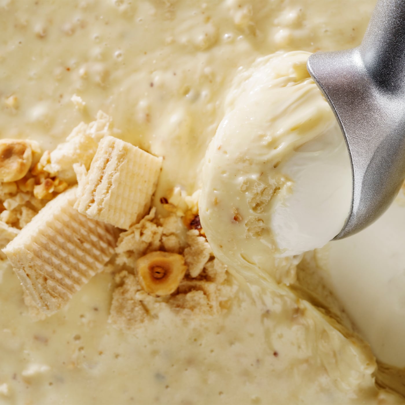 Joycream Wafernut Blanc - Joygelato